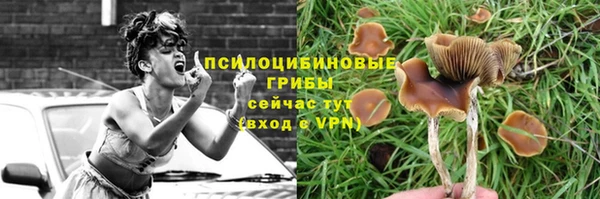 прущая мука Балахна